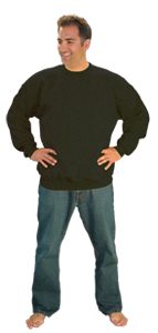 Hanes Sweatshirt F260 F260