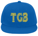 TG3 BEAST MODE - Flat Bill Fitted Hats 123-969 - 123-9692039 - Custom Heat Pressed 9a433bfc661e2252012172843100