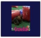 SNAKEMAN - Custom Heat Pressed 4x8-Banner - 4X8-Banner2029 163dc0939d321342012225420451