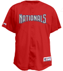 DELIO  - Nationals Official MLB Full Button Youth Jersey - MA654Y - Nationals-654Y2033 - Custom Screen Printed 99816d94be241652012205820462