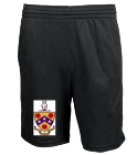 Phi Gamma Delta - Custom Heat Pressed Adult Pocketed Mesh Short-4451TA - 4451TA2021 9a0dc93d6dd03959d29b2
