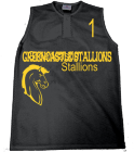 GREENCASTLE STALLIONS 1 GREENCASTLE STALLIONS - Custom Heat Pressed Teamwork Athletic Sleeveless Jersey-1255P - 1255P2034 90abeaab336918420121430648