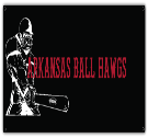 ARKANSAS BALL HAWGS - 4x8-Banner - 4X8-Banner2025 - Custom Heat Pressed 5ad9d1d09ae7852012105835434