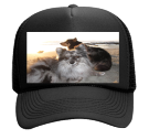 the babes - Custom Heat Pressed Mesh Trucker Hat 32-467 - 32-4672017 7d96e2d3750c3220121039176