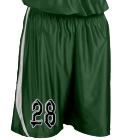 28 - Adult Basketball Shorts - Downtown - Teamwork Athletic - 4439 - 44392029 - Custom Heat Pressed ff7289c129a3125201265614630