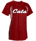 CATS JERSEY 3 - Women's Changeup Softball Jersey - 1279 - 12792023 - Custom Screen Printed deab286460286520121337202