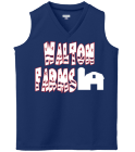 WALTON JERSEY REDO - Custom Heat Pressed Girls Sleeveless Jersey - Augusta - 526 - 5262029 66f85a19478d13420129522719
