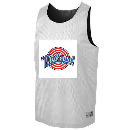 tune squad reversible jersey