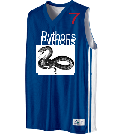 PYTHONS 7 7 7 DISCONTINUED Youth Basketball Jerseys & Uniforms ...