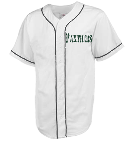 Panthers Adult Full Button Baseball Jersey