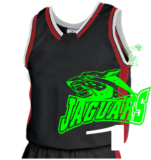 James Jaguars DISCONTINUED Youth Basketball Jersey - Jammer Series -  Teamwork Athletic - 1483