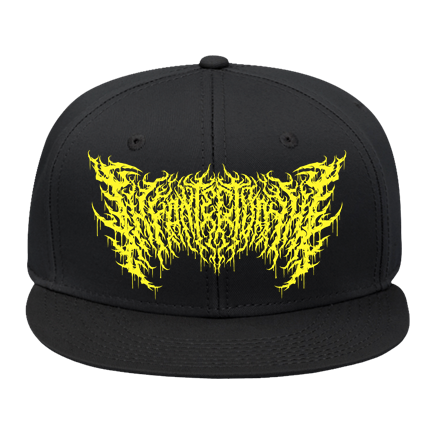infant flat bill hat