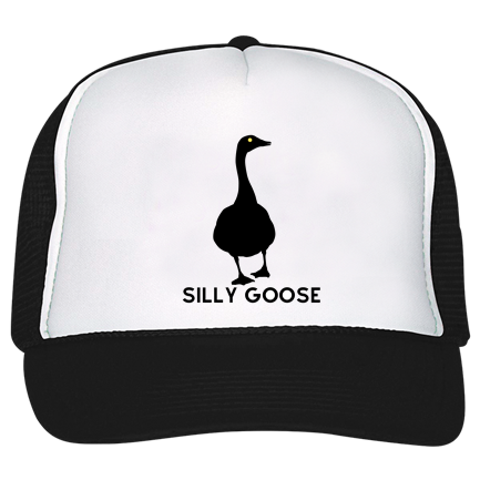 Silly goose hat Clearance