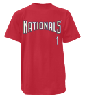 LR Nationals MLB Adult League Team Jerseys - Official Nike MLB Wordmark Poly Tees - N223