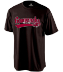 J-J DISCONTINUED South Carolina Gamecocks Youth Jersey T-Shirt