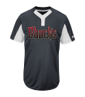 ALVARADO Custom Dbacks Two-Button Jersey -  Dbacks-MAI383