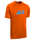 SMITH Mets MLB Little League Team Jerseys - Official Nike Youth MLB Wordmark Poly Tees - NY228