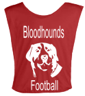 BLOODHOUNDS-FOOTBALL DISCONTINUED Youth Football Scrimmage Vest - Teamwork Athletic - 2361