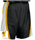 NYAA-Hoops-Shorts DISCONTINUED Youth Basketball Shorts - Shadow Series - Teamwork Athletic - 4410