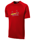 BOYD Cardinals MLB Adult League Team Jerseys - Official Nike MLB Wordmark Poly Tees - N223
