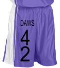 DAWS-4-2 DISCONTINUED Women's Dazzle Basketball Shorts - 9