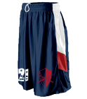 F1 DISCONTINUED Team Basketball Shorts - Augusta - 716