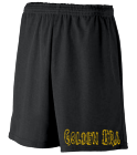 GOLDEN-ERA Adult Mini Mesh Shorts