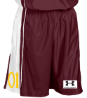 01 DISCONTINUED Adult Dazzle Basketball Shorts - 9