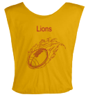 LIONS DISCONTINUED Youth Football Scrimmage Vest - Teamwork Athletic - 2361