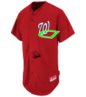D Nationals Official MLB Full Button Youth Jersey - MAHD684Y