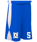 5 DISCONTINUED Reversible Adult Basketball Shorts - 9