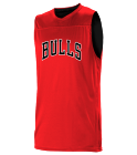new Chicago Bulls  Youth Reversible Basketball Jerseys - A105LY-BULLS