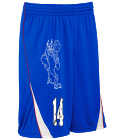 14 B DISCONTINUED Youth Reversible Basketball Shorts - 441A