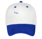 DF- Low Pro Style Otto Cap
