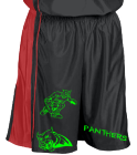 PANTHERS- DISCONTINUED Women's Dazzle Basketball Shorts - 9
