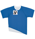 V Youth Single Layer Reversible Soccer Jersey