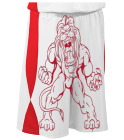 Westlake-Lions DISCONTINUED Reversible Youth Basketball Shorts - 7