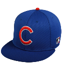 NRV Cubs Flatbill Baseball Hat OCMLB400