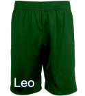 Leo Screen Printed Basketball Shorts | Mens 9" Lined Micromesh Shorts N5255