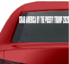 Grab-America-By-The-Pussy Car Vinyl Window Stickers