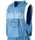 Bayabas-Basketball DISCONTINUED Youth Dazzle Basketball Game Jersey-Augusta Style 786
