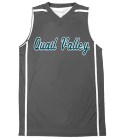 Quail-Valley Adult Reversible Basketball Jerseys Badger B-Line