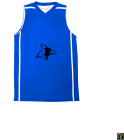 Jorie Youth Reversible Basketball Jerseys