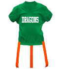 DRAGONS DISCONTINUED Adult Official Flag Football Jersey - 1358