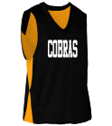 COBRAS DISCONTINUED Adult Overdrive Reversible Jersey-1432