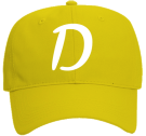 D Low Pro Style Otto Cap