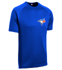 WICKHAM417 Blue Jays MLB Little League Team Jerseys - Official Nike Youth MLB Wordmark Poly Tees - NY223