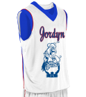 Chickens DISCONTINUED Youth Reversible Basketball Jersey - Finger Roll - 141A