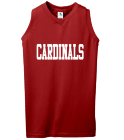 CARDINALS Ladies V-Neck Jersey