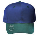 Froshers-Inc Pro Style Otto Cap